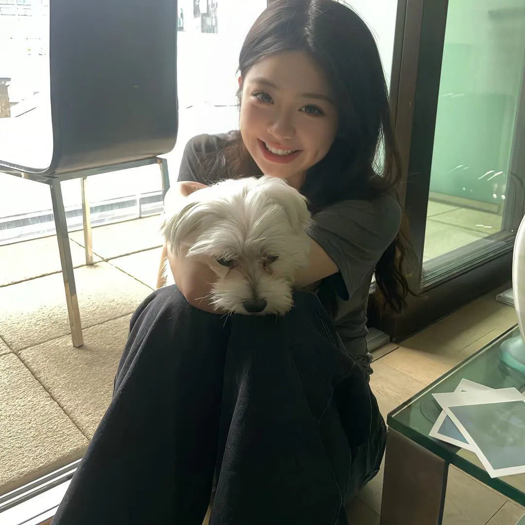 燕尾蝶 封面