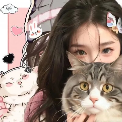 黑猫扎飞 封面